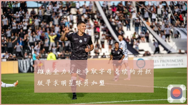 雄鹿全力以赴争取字母哥续约并积极寻求明星球员加盟