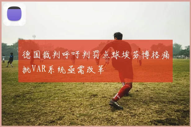德国裁判呼吁判罚点球埃芬博格痛批VAR系统亟需改革
