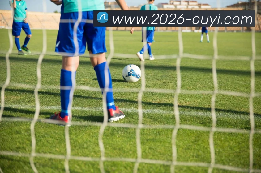 欧亿体育APP 封面图